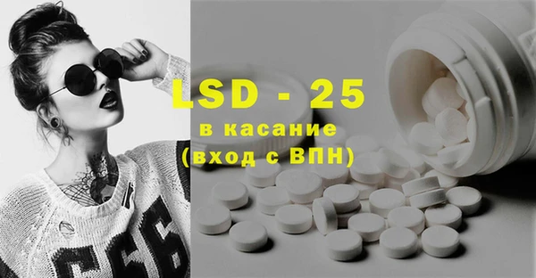 индика Сосновка