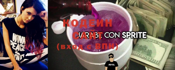 индика Сосновка