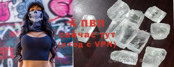 индика Сосновка
