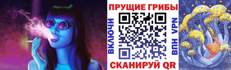 блэк спрут зеркало  Волчанск  Псилоцибиновые грибы Cubensis 